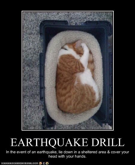 funny earthquake pictures